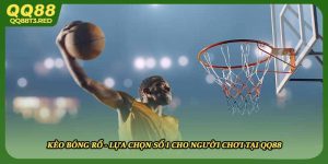 Kèo Bóng Rổ - Lựa Chọn Số 1 Cho Người Chơi Tại QQ88